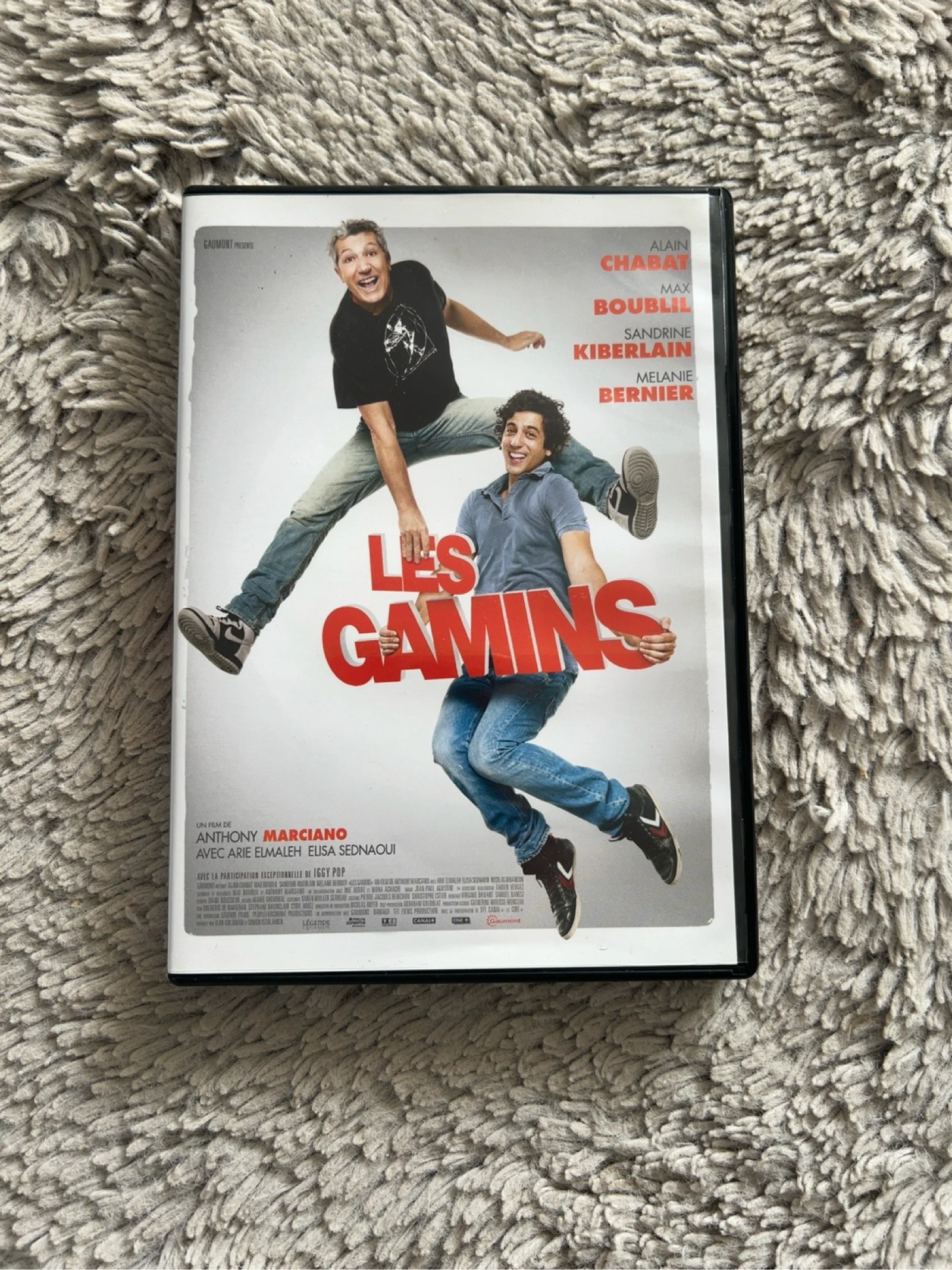 DVD Les Gamins – Alain Chabat, Max Boublil – Comédie française – Très bon état